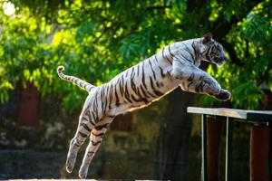 尊龙新版登录网址下载：为安全性与隐私保护树立新标杆